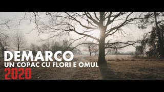 DEMARCO - Un copac cu flori e omul [video 2020]