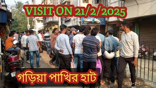 বর্তমানে বদ্রি পাখি একাই বাজার কাঁপাচ্ছে ।