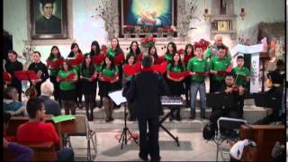 Cantando voy Cantando - CONCIERTO NAVIDEÑO 2014