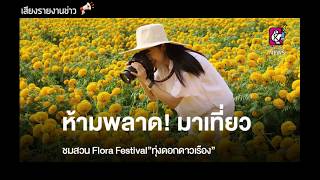 ห้ามพลาด! มาเที่ยวเทศกาลชมสวน Flora Festival “ทุ่งดอกดาวเรือง” 08/11/62