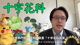 十字花科蔬菜與癌症：真相解析 Cruciferous Vegetables and Cancer: Unraveling the Truth