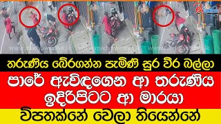 බයික් අයියාගෙන් තරුණිය බේරගන්න පැමිණි  සුර වීර බල්ලා