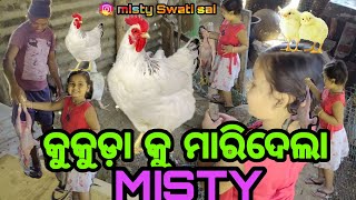 କୁକୁଡ଼ା କୁ ମାରିଦେଲା MISTY🐓DIPSY colddrink ଓ chicken🍗ପାଇଁ ପୁରା ପାଗଳ/Misty Swati Sai vlogs video 🙏♥️🙏