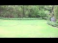 Walter Sisulu National Botanical Gardens   Water Wise Garden 15