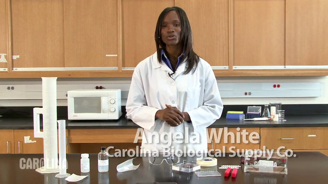 Preparing And Pouring A Gel For Electrophoresis - YouTube