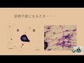 浅川 翠先生の臨床病理学シリーズセミナー一次診療で知っておきたい臨床病理学 第5回 病院内で復習しておきたい細胞診・病理組織検査の提出方法