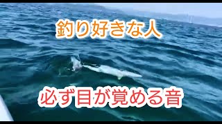 目覚まし音「釣り好きな人なら必ず目が覚める！?」