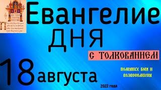 Евангелие дня с толкованием  18 августа 2022 года 90 псалом