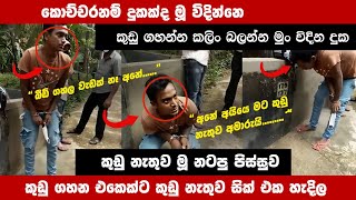 කුඩු ගහන එකෙක්ට කුඩු නැතුව සික් එක හැදිල 😱😢 . බලන්න මූ විදින දුක කුඩු නැතුව  😱 \