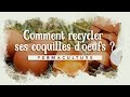 Les meilleures manières de recycler ses coquilles d'oeufs 🥚 🐔  #permaculture