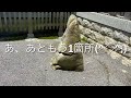 【厄除け】この神様にご縁をいただけた方はお守りいただけます。