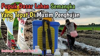 #01 Pupuk Dasar Lahan Semangka Di Musim Penghujan Agar Tumbuh Subur & Panen Berlimpah