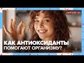 Как АНТИОКСИДАНТЫ помогают организму? | Доктор 24