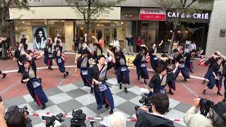 AZUKI　横浜よさこい　1日目