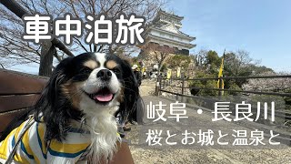 【犬と車中泊の旅】岐阜・長良川温泉 車中泊の旅 前編 / 道の駅むげ川で車中泊 / 金華山ロープウェー / 岐阜城 / 御嶽神社茅萱宮 / 食堂まるもと / パティスリーペーシュ