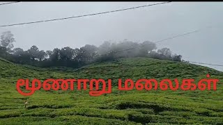 மூணார் சுற்றுலா/Munnar Hills Station