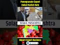 pomegranate अनार export from india pomegranate importexport