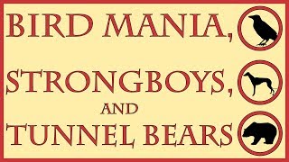 Bird Mania, Strongboys, and Tunnel Bears