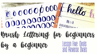 Brush Lettering Fundamentals 2019| Ovals & Reverse Oval Strokes | Wk.5