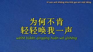 Người Con Gái Dễ Bị Tổn Thương - Vương Phi [容易受伤的女人 - 王菲]