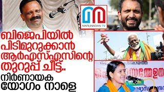 വല്‍സന്‍ തില്ലങ്കരിക്ക് വേണ്ടി പിടി മുറുക്കാന്‍ കേരളത്തിലെ ആര്‍എസ്എസ് I Bjp kerala