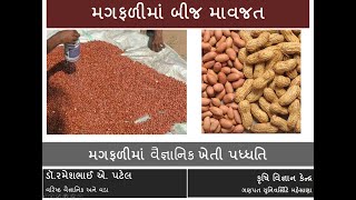 મગફળીમાં બીજ માવજત || Groundnut Seed treatment || મગફળીની વૈજ્ઞાનિક ખેતી પધ્ધતિ