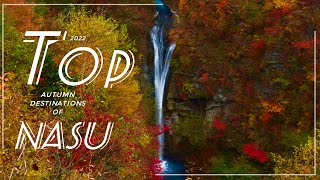 Top Autumn Spots of Nasu, Tochigi | #那須 #tochigi