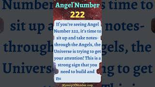 222 Angel Number Meaning #Shorts