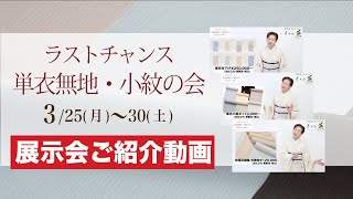 【ラストチャンス単衣の会〜色無地・小紋・付下げ〜 展示会概要ご紹介動画】#最高級 #洗える着物 #きもの英