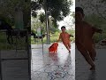 amreta plays in the shade while raining amreta shortsvideo shortsviral shorts