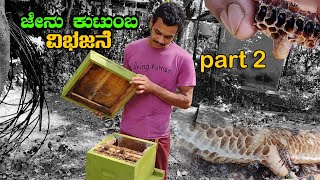 ಜೇನು ಕುಟುಂಬ ವಿಭಜನೆ .bee colony division part 2#beekeeping #malenadu #queen  #honey