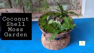 How to make moss garden| ചിരട്ടയിൽ പായൽ കൊണ്ട് ഗാർഡൻ| Coconut shell moss garden| Miniature garden