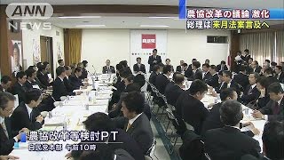 政府VS自民　“国会最大の課題”農協改革で激論(15/01/23)