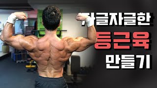 등을 조각하는 리버스플라이 ㅣ디테일하게 등 쪼개기