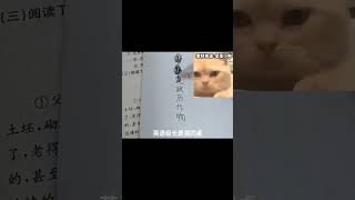 学废了！寒假作业