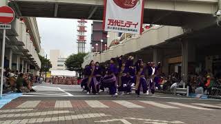 新潟総踊り祭り2016 「踊れ!!」チームレジェンド21○