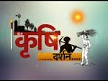 krishi darshan औषधीय और सगंधीय पौधों की खेती से आय में इजाफा promo