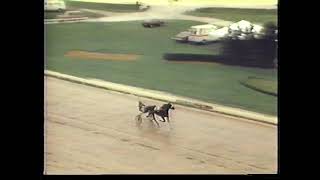 1986 Harness Racing highlights