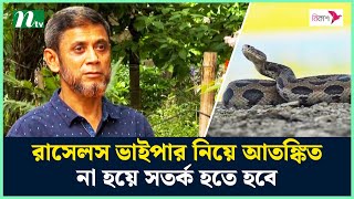 রাসেলস ভাইপার নিয়ে আতঙ্কিত না হয়ে সতর্ক হতে হবে : বিশেষজ্ঞরা | NTV News