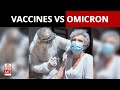 Omicron: How Effective Will The Covid-19 Vaccine Be Against This New Variant? | NewsMo