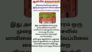 நிலை வாசலில் மாவிலை தோரணம்