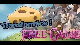 Transformice Gameplay FREE MMO Mice stealing cheese game