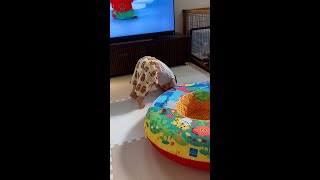 Baby Copies the Dance on TV