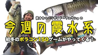 初冬のボラコン150ゲームがやってくる！『霞オカッパリガイド・アユサンの今週の霞水系』