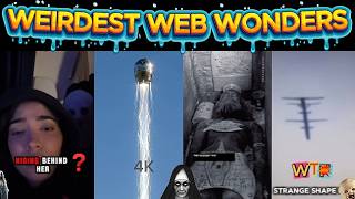 weirdest web wonders vol 210