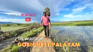 The Beauty of Gobichettipalayam