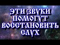 Особые звуки для улучшения слуха