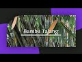 18 jenis tanaman bambu yang ada di indonesia aneka flora