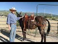 Custom Saddles for Mules - Introduction Video by Joseph Gee Saddlery