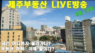 [LIVE]제주부동산 실시간. 금리인상 어디까지 올라가니? 2공항 서쪽지역에 바라시는분들.. #제주토지매매 #제주도땅 #제주땅값 #부동산상담